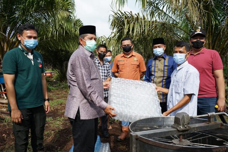 Bupati Siak Tinjau Budidaya Lebah di Kampung Teluk Rimbo