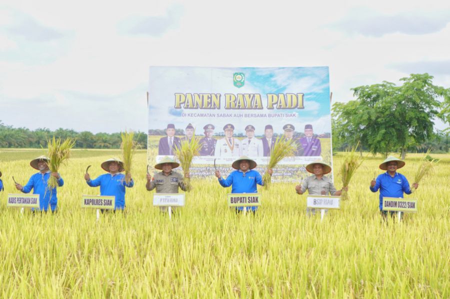 Panen Raya Padi di Desa Laksamana, Bupati Siak Serahkan 16 Unit Mesin Pompa Air dan Cultivator