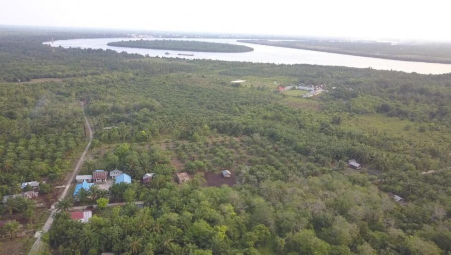 Surga Tersembunyi di Siak, Wabup: Pantai Beting Miliki Potensi Wisata Bahari